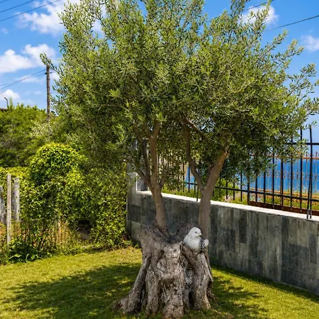 Teko Infinity Blue Holiday home